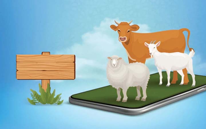 পশু কোরবানি কখন করব, কীভাবে করব