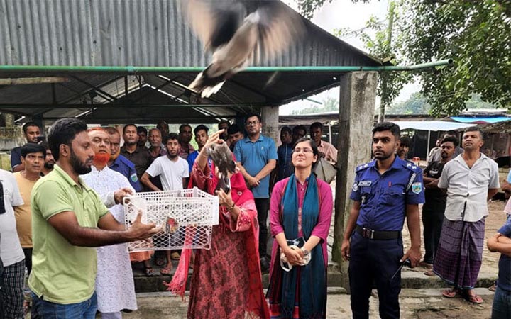 রাজশাহীতে ২০০ ঘুঘু উদ্ধার, দোকানির জরিমানা