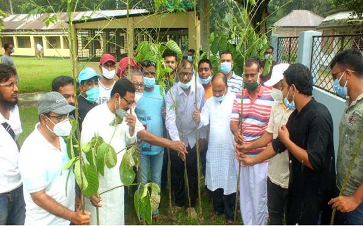 পাকশি বিভাগীয় রেলওয়ের বৃক্ষরোপণ কর্মসূচি