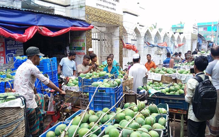 সাতক্ষীরায় হিমসাগর আম পাড়ার সময় এগিয়ে আনল প্রশাসন