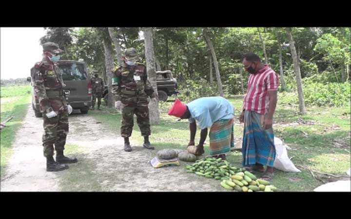যশোরে চাষিদের লোকসান ঠেকাতে সরাসরি ক্ষেত থেকে সবজি কিনছে সেনাবাহিনী