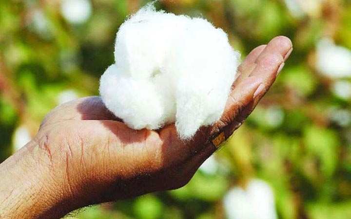 তুলা আমদানিতে অগ্রিম আয়কর প্রত্যাহারের দাবি