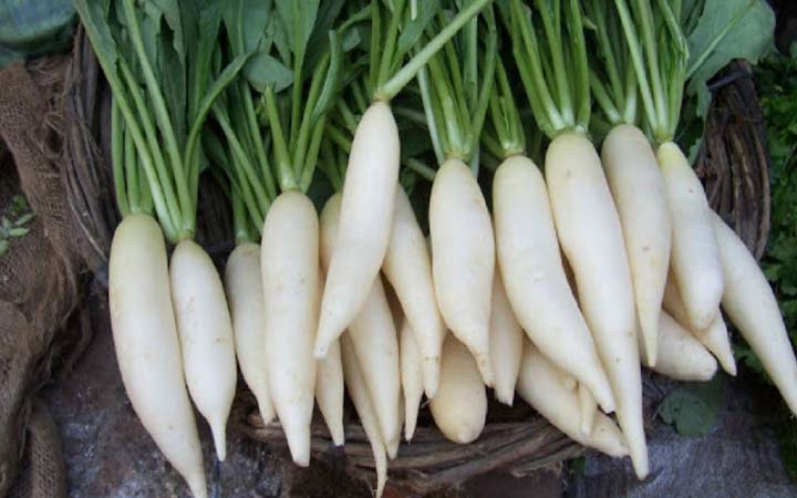 শারীরিক ইমিউনিটি বাড়াবে মূলা