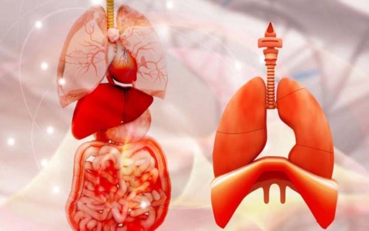 শীতকালে বাড়ে ধূলিকণার দূষণ