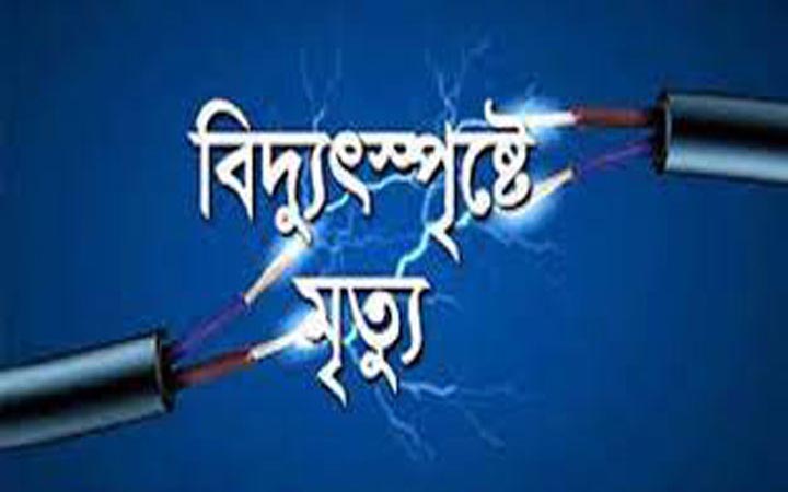 বিদ্যুতের তারে জড়িয়ে মা-ছেলের মৃত্যু