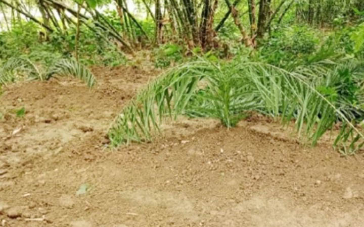 মায়ের মৃত্যুর ৬ মিনিটের মাথায় ছেলের মৃত্যু