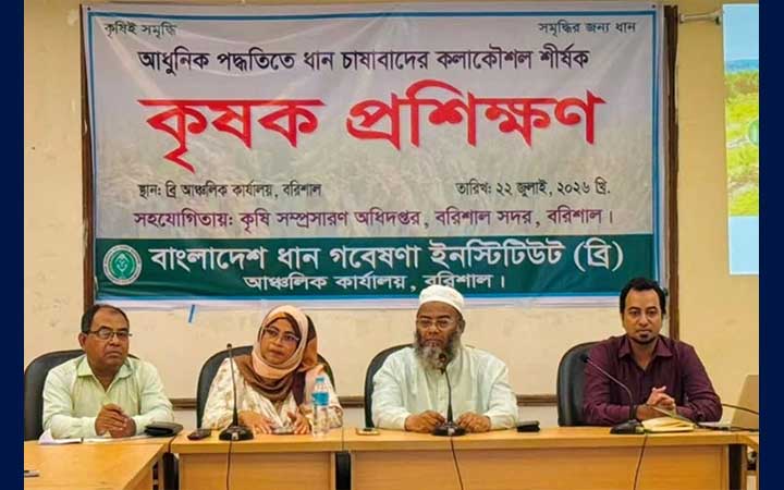 বরিশালে আধুনিক পদ্ধতিতে ধান চাষাবাদ বিষয়ে কৃষক প্রশিক্ষণ
