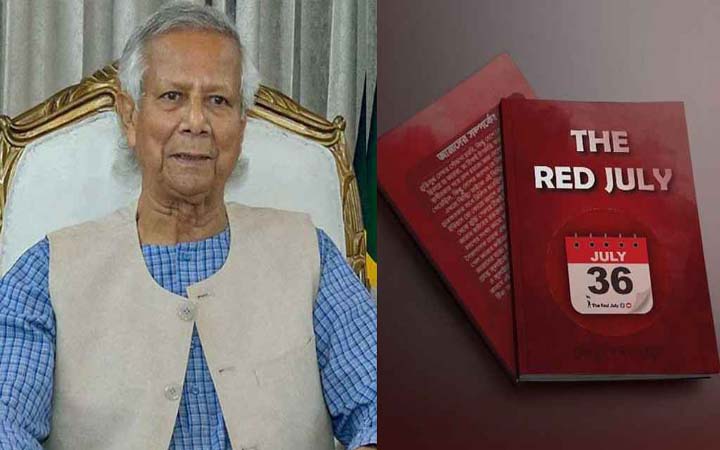 ‘প্রধান উপদেষ্টা থাকবেন, আমাদের টিম রাজপথে থাকবে জুলাইকে বাঁচাতে’