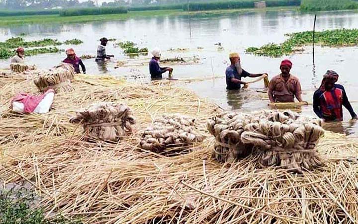 জাতীয় পাট দিবস আজ