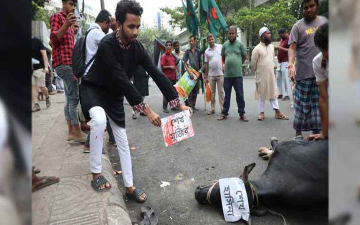 আ.লীগ নেতাদের নামে শাহবাগে গরু-ছাগল জবাই