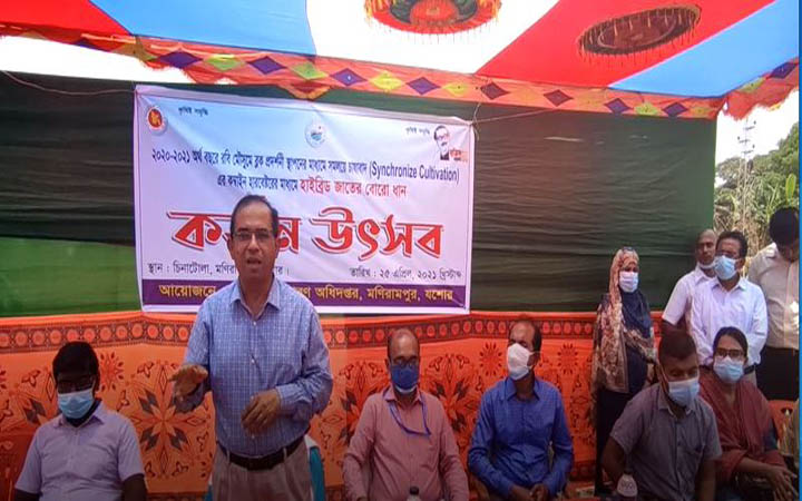 যশোরে কম্বাইন হারভেস্টরের মাধ্যম বোরো ধান কর্তন উৎসবের উদ্বোধন