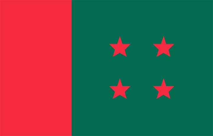 উপজেলায় বিদ্রোহী প্রার্থীদের সাময়িক বহিস্কার করবে আওয়ামীলীগ