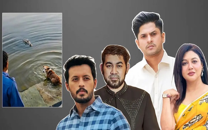 কুমিরের মুখে কুকুরের সেই ঘটনা নিয়ে তারকাদের ক্ষোভ