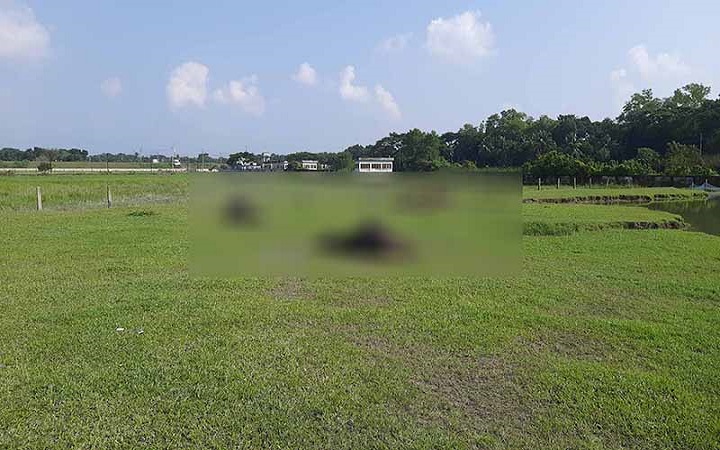 বাগেরহাটে খামারে ১৮ মহিষের রহস্যজনক মৃত্যু