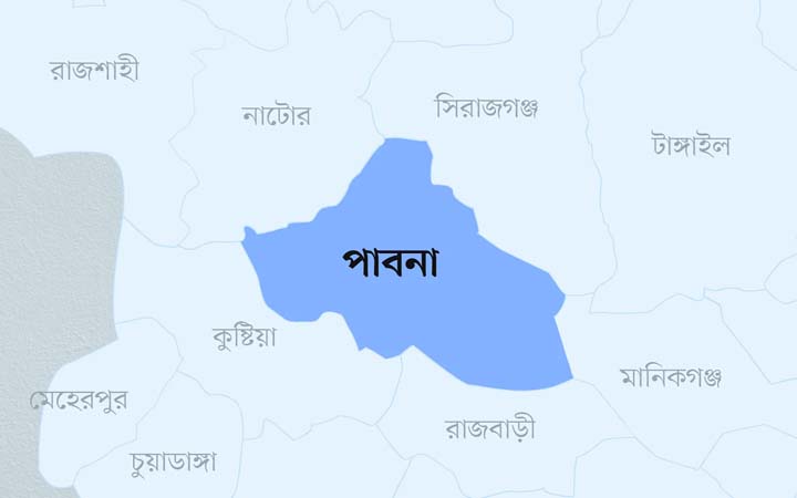 চাটমোহরে ৬ ইউনিয়নের কৃষককে গমের ফলোআপের বীজ না দেয়ার অভিযোগ