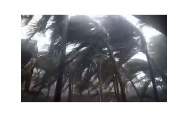 ঝড়ে কক্সবাজারে প্রায় ১০ হাজার ঘরবাড়ি বিধ্বস্ত