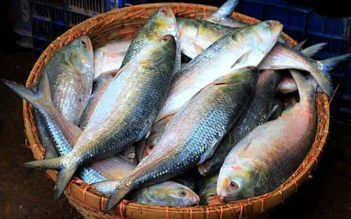 ভারতে ইলিশ রফতানি বন্ধে হাইকোর্টে রিট