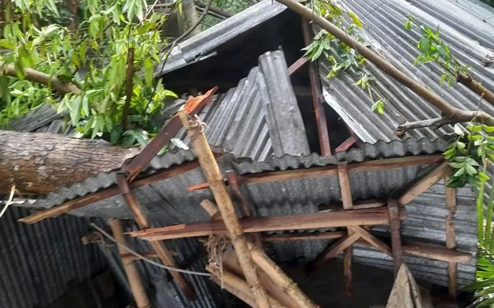 ঝড়ের মধ্যে আম কুড়াতে গিয়ে গাছচাপায় নারীর মৃত্যু
