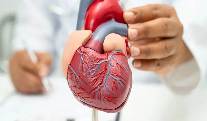 হৃদ্যন্ত্রের জন্য সবচেয়ে বিপজ্জনক ৪ অভ্যাস সম্পর্কে জেনে নিন