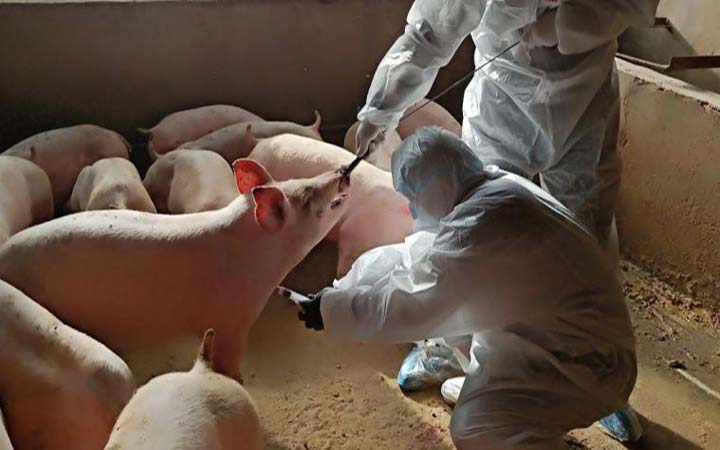 চীনে নতুন ভাইরাসের সন্ধান, মহামারির শঙ্কা বিজ্ঞানীদের