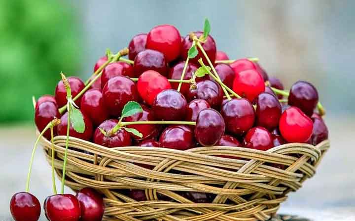 চেরির স্বাস্থ্যগুণ: পুষ্টি উপাদান, উপকারিতা ও খাওয়ার নিয়ম