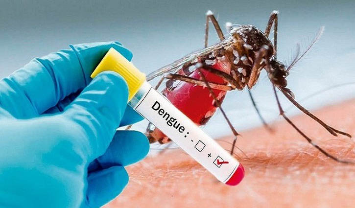 ডেঙ্গুর অ্যান্টিভাইরাল চিকিৎসা নেই, প্রতিরোধে বিশেষজ্ঞের পরামর্শ