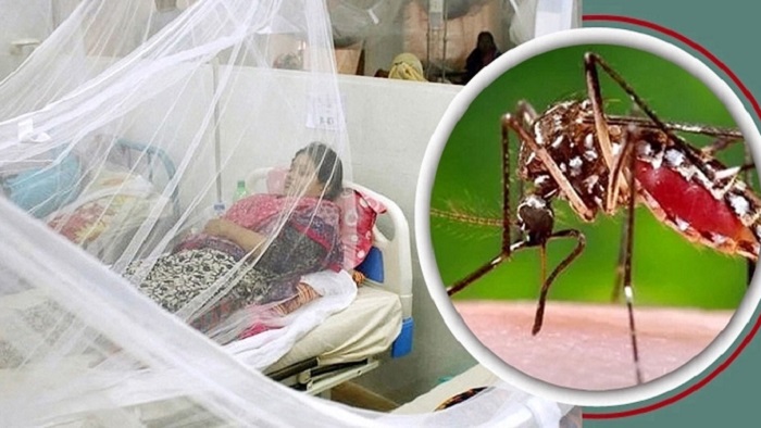 ডেঙ্গুতে ১৪ জনের মৃত্যু, হাসপাতালে ভর্তি ২৪৩২