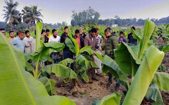 বীরগঞ্জে কলা বাগান থেকে শিশুর মরদেহ উদ্ধার