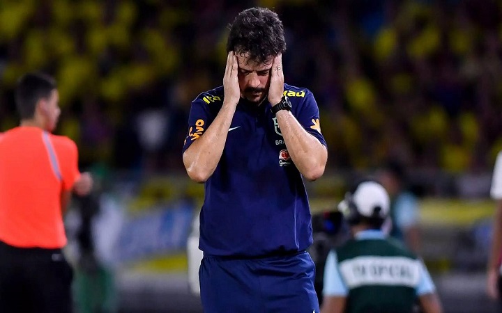 ব্রাজিল কোচ দিনিজ বরখাস্ত