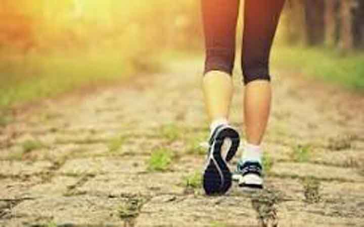 চর্বি কমাতে যেসব ধারণা এখনই বাদ দেওয়া উচিত