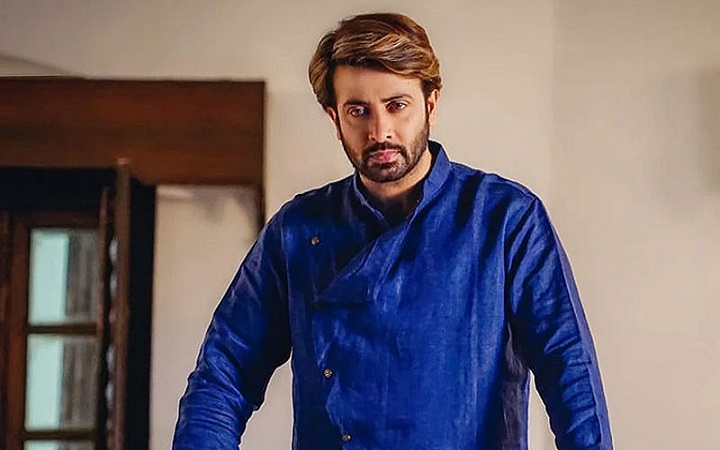 ভিসা জটিলতায় দেশেই আটকে গেলেন শাকিব