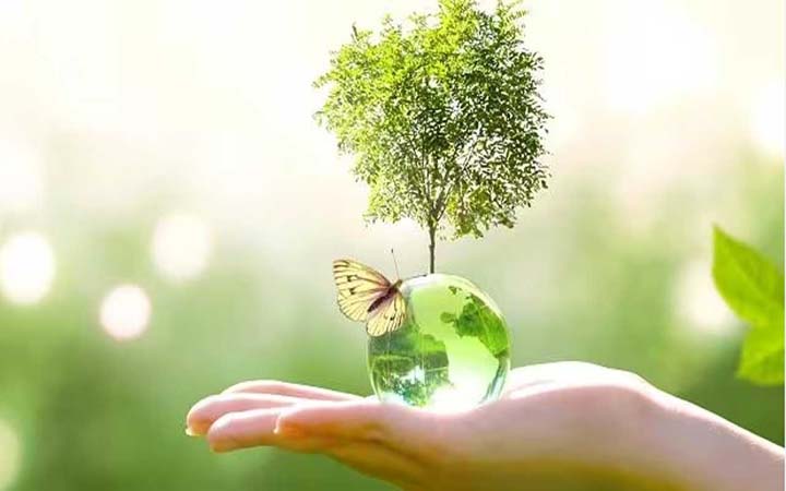বিশ্ব পরিবেশ দিবস আজ