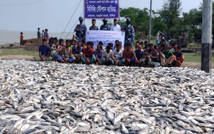 হাতিয়ায় ১৫০ মণ ইলিশ জব্দ, ৫৬ জেলে আটক