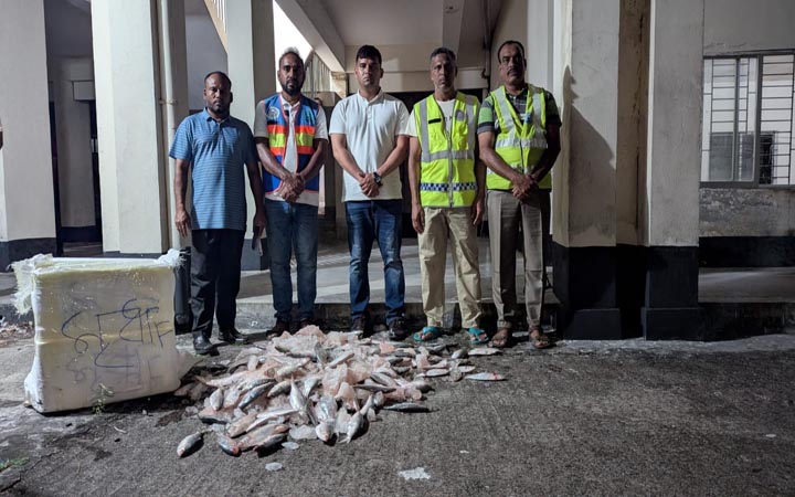 কুয়াকাটায় ৫০ কেজি জাটকা ইলিশ জব্দ, এতিমখানায় বিতরণ