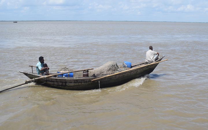 ফরিদপুরে ইলিশ শিকারের দায়ে ৯ জেলের কারাদণ্ড
