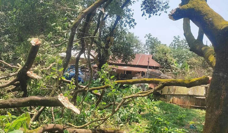 কালবৈশাখীতে বিদ্যুৎহীন শ্রীপুরের তিন গ্রাম