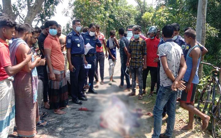 পাবনায় স্ত্রীকে শ্বাসরোধে হত্যা, স্বামী আটক