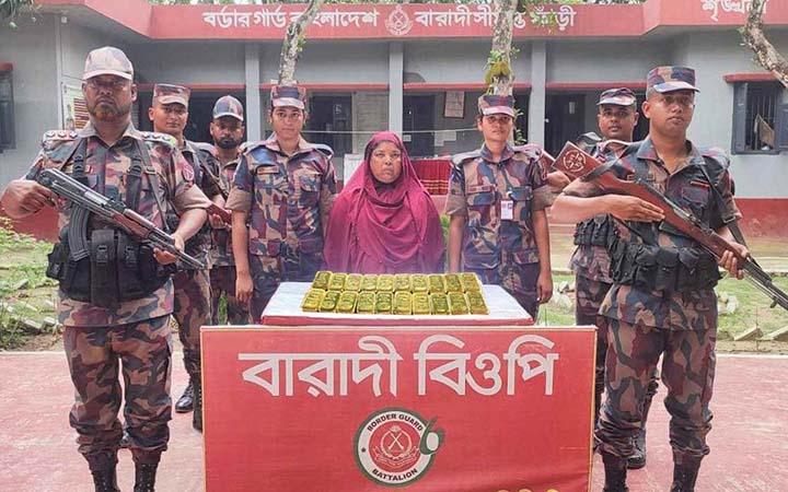 দর্শনা সীমান্ত দিয়ে ভারতে পাচারের সময় ২০টি স্বর্ণের বারসহ আটক ১