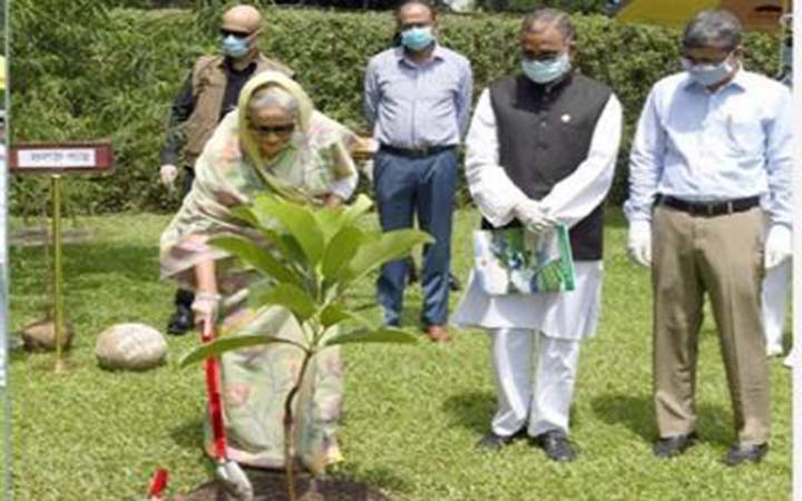 সারাদেশে ১ কোটি বৃক্ষরোপণ কর্মসূচির উদ্বোধন করলেন প্রধানমন্ত্রী