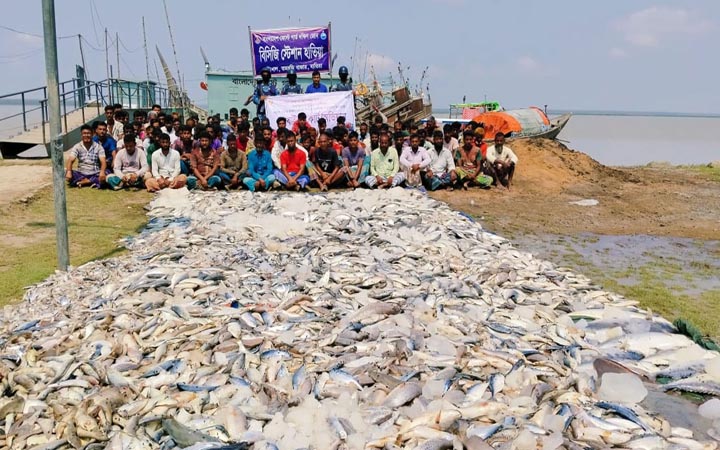 সাগরে ইলিশ ধরায় ৬ ট্রলারসহ ৯৩ জেলে আটক