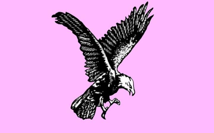 স্বতন্ত্র প্রার্থীদের মধ্যে ঈগল প্রতীকের জনপ্রিয়তার কারণ কী