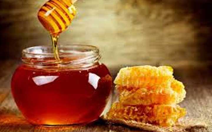 মধু উৎপাদনের বিপুল সম্ভাবনা বাস্তবায়ন করতে হবে : প্রধানমন্ত্রী