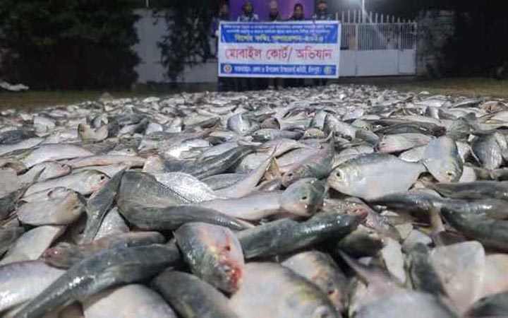 ট্রলার থেকে ৮৫ মণ জাটকা জব্দ