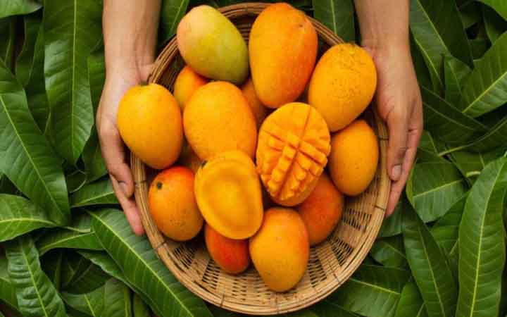 পাকা আম দীর্ঘদিন সংরক্ষণ করবেন যেভাবে