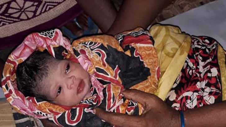 আশ্রয়কেন্দ্রে জন্ম নিল বুলবুলি