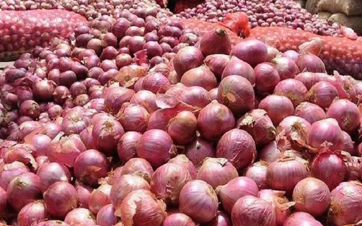 স্থলবন্দর দিয়ে ৪৯ টন পেঁয়াজ আমদানি