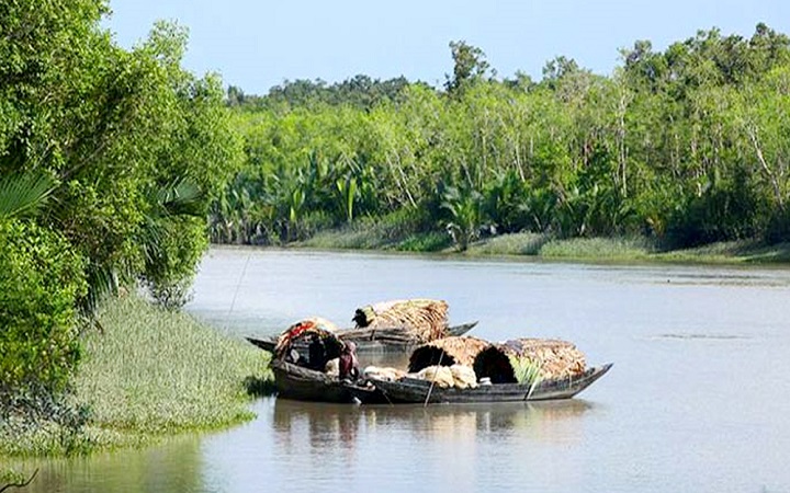 সুন্দরবনে রবিবার থেকে যেতে পারবেন পর্যটকরা