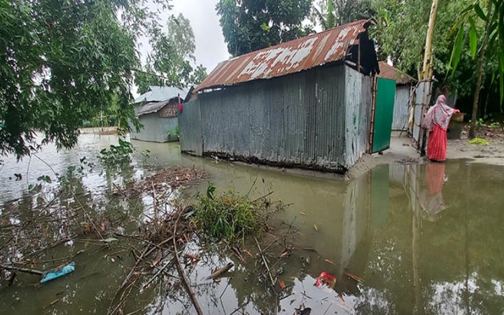 কমছে তিস্তার পানি, স্বাভাবিক জীবনে ফিরছে মানুষ