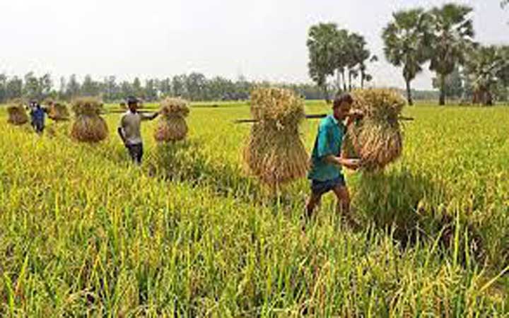 চাষাবাদের ব্যাপারে ইসলামের দৃষ্টিভঙ্গি