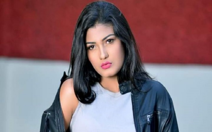 পূজায় গুণে গুণে ঠাকুর দেখি: সঞ্চিতা দত্ত